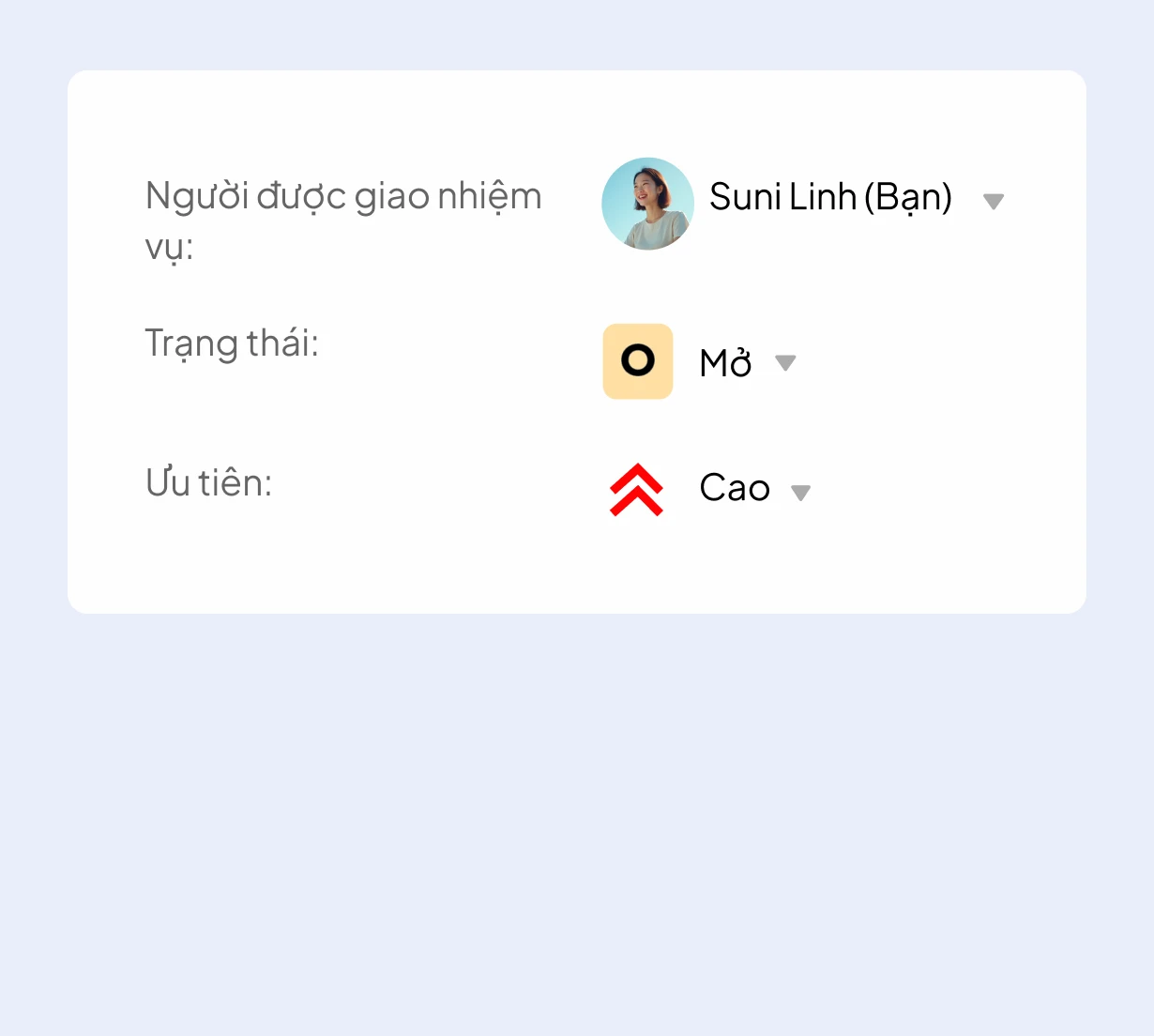 Ticket phân luồng chính xác